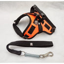 Peitoral Reforçado em Couro para Raças Fortes – Segurança, Durabilidade e Conforto