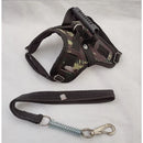 Peitoral Reforçado em Couro para Raças Fortes – Segurança, Durabilidade e Conforto